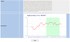 Signalepeptide.com